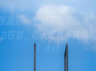 ISS山茶摄影 – 最新写真集曝光，赵小楠女神魅力四射，让人欲罢不能的视觉享受！.txt