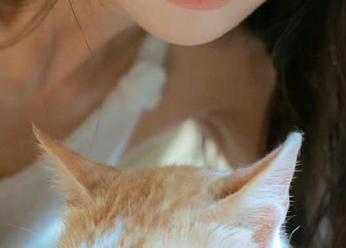 Xiuren秀人网 – 抢眼的顾欣怡美腿写真，图集解锁你的时尚灵感.txt