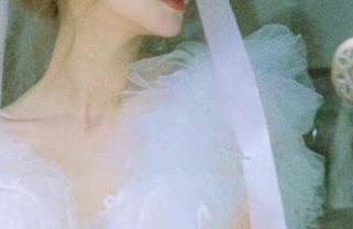 pans – “Tina女王”的写真之旅：精彩纷呈的图册与合集盛宴.txt