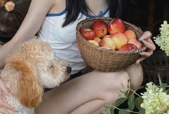 秀人网 – 免费提供晚苏susu修女图册，欣赏她令人陶醉的艺术作品与摄影风格.txt